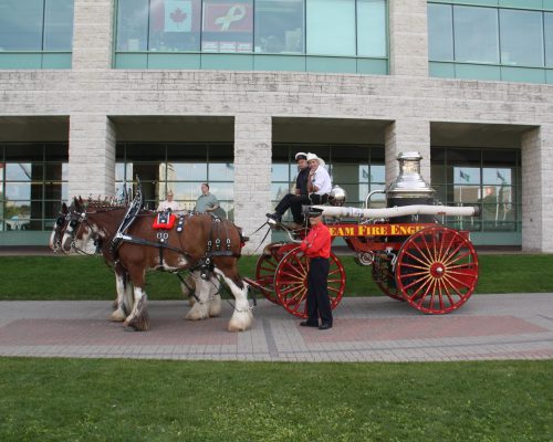Bytown Brigade member Bernie Matheson w Horse Drawn Steamer paticipating at Ceremony 755
